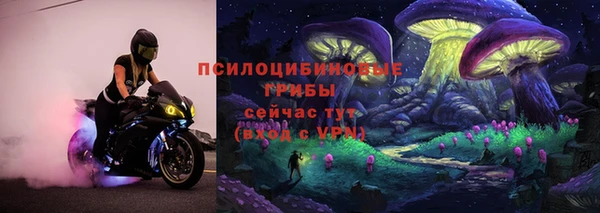 прущие грибы Алзамай