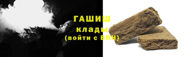 прущие грибы Алзамай