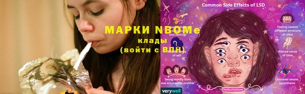 прущие грибы Алзамай