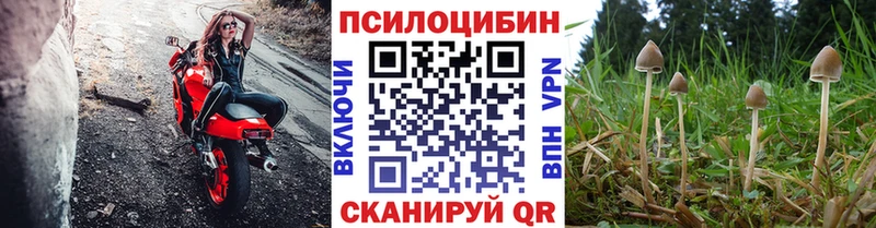 Псилоцибиновые грибы мицелий  Октябрьск 